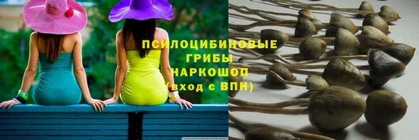 круглые Алексеевка