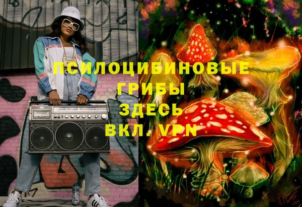 круглые Алексеевка