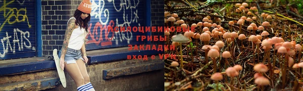 круглые Алексеевка