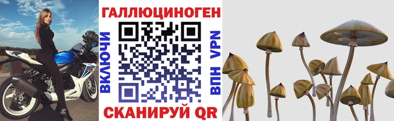 Псилоцибиновые грибы Cubensis  hydra ССЫЛКА  Апрелевка 